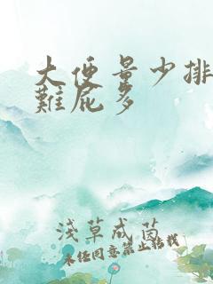 大便量少排便困难屁多