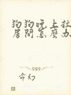 狗狗晚上拉尿在房间怎么办