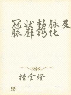 冠状动脉及主动脉壁钙化