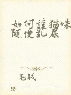 如何让猫咪改掉随便乱尿