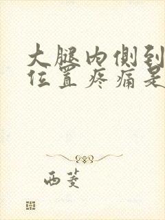 大腿内侧到膝盖位置疼痛是什么原因