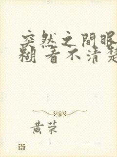 突然之间眼睛模糊 看不清楚东西怎么回事