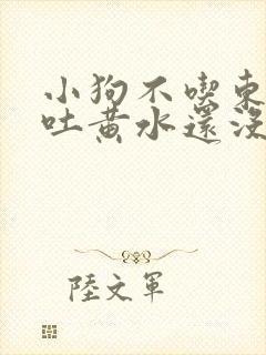 小狗不吃东西还吐黄水还没精神