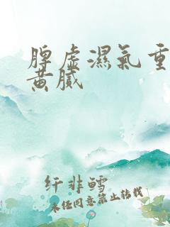 脾虚湿气重舌苔黄腻