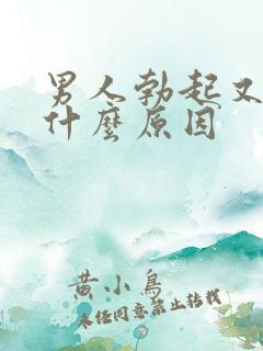 男人勃起又软了什么原因