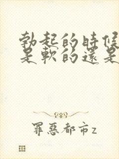 勃起的时候龟头是软的还是硬的