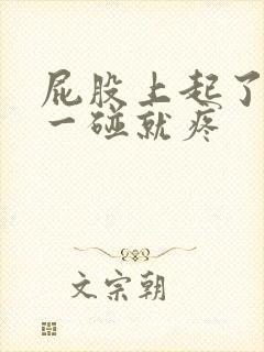 屁股上起了疙瘩一碰就疼