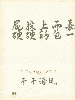 屁股上面长了个硬硬的包一碰就痛