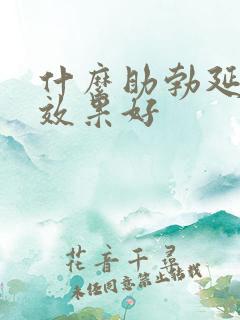 什么助勃延时药效果好