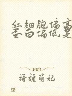 红细胞偏高血红蛋白偏低是怎么回事