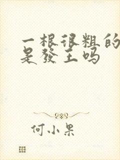 一根很粗的头发是发王吗