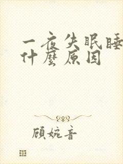 一夜失眠睡不着什么原因