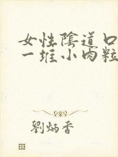 女性阴道口起了一堆小肉粒