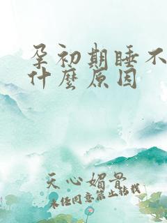 孕初期睡不着觉什么原因