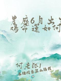 农历6月出生的鸡命运如何