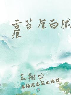 舌苔厚白腻有齿痕