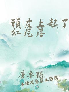 头皮上起了好多红疙瘩