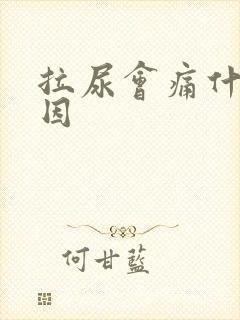 拉尿会痛什么原因