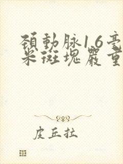 颈动脉1.6毫米斑块严重吗