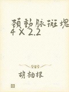 颈动脉斑块5.4×2.2