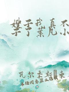 嫂子我真不是傻子了叶凡小说最新章节精校版