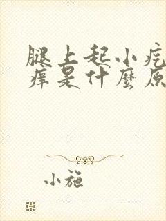 腿上起小疙瘩很痒是什么原因