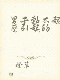 男子勃不起来怎么引起的