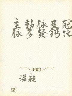 主动脉及冠状动脉多发钙化