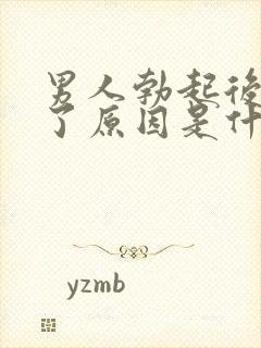 男人勃起后又软了原因是什么