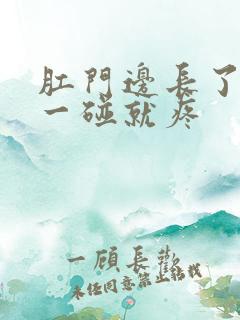 肛门边长了个包一碰就疼