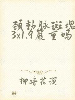 颈动脉斑块7.3x1.9严重吗