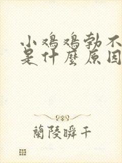 小鸡鸡勃不起来是什么原因呢