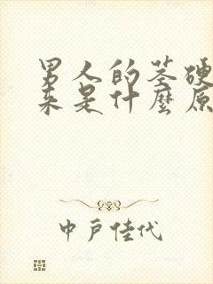 男人的茎硬不起来是什么原因