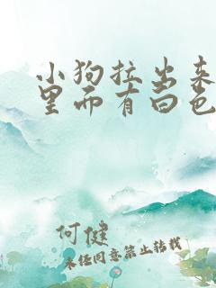 小狗拉出来的屎里面有白色的虫子