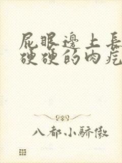 屁眼边上长了个硬硬的肉疙瘩