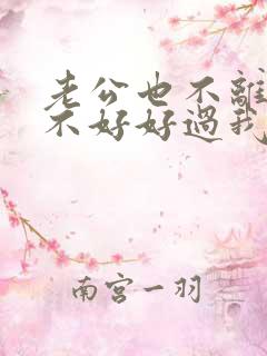 老公也不离婚也不好好过我该怎么办