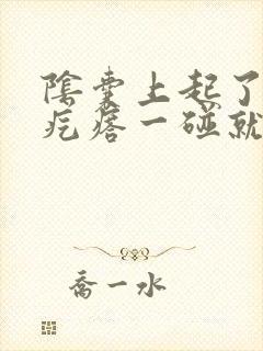 阴囊上起了一个疙瘩一碰就疼