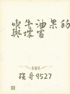 吃牛油果的好处与坏处