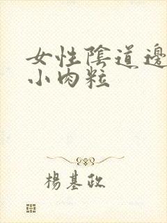 女性阴道边上的小肉粒