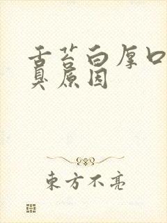 舌苔白厚口苦口臭原因