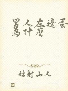 男人左边蛋疼是为什么