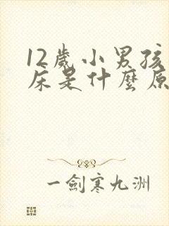 12岁小男孩尿床是什么原因