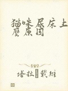 猫咪尿床上是什么原因