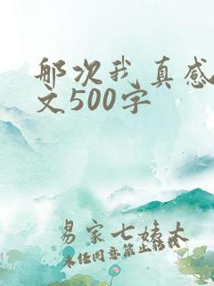 那次我真感动作文500字