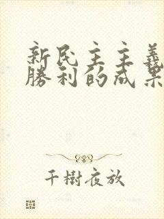 新民主主义革命胜利的成果