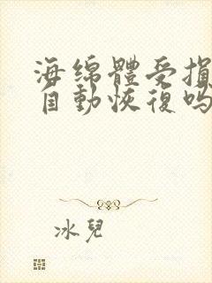 海绵体受损就会自动恢复吗