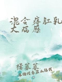 混合痔肛乳头肥大病历