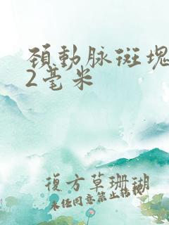 颈动脉斑块2.2毫米