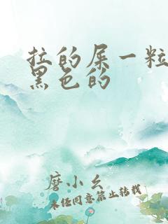 拉的屎一粒一粒黑色的