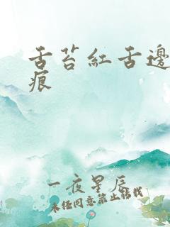 舌苔红舌边有齿痕